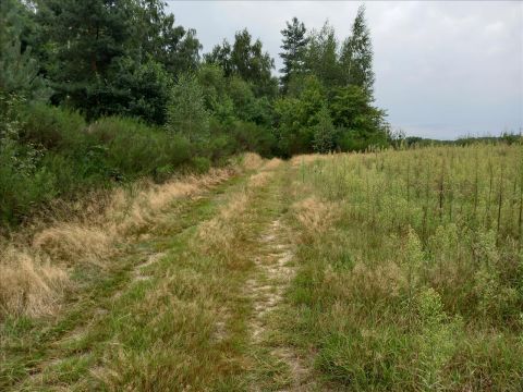 Sprzedaż Działka Promna-Kolonia, pow. białobrzeski