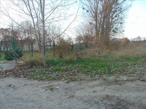 Sprzedaż Działka Bolimów, pow. skierniewicki