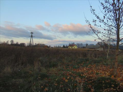 Sprzedaż Działka Bolimów, pow. skierniewicki