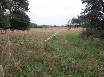Działka na sprzedaż, Zgierski, Stary Adamów
