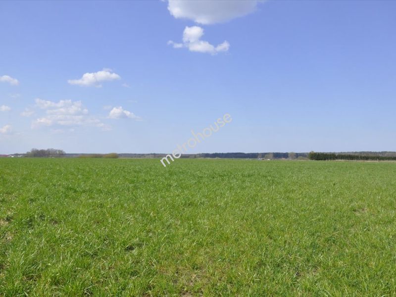 Działka na sprzedaż, Lidzbarski, Nowy Dwór