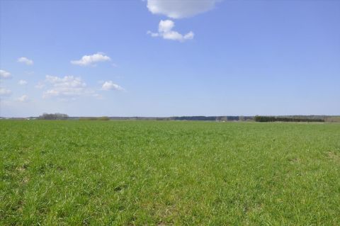 Sprzedaż Działka Nowy Dwór
