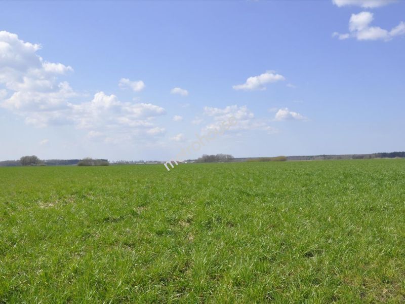 Działka na sprzedaż, Lidzbarski, Nowy Dwór