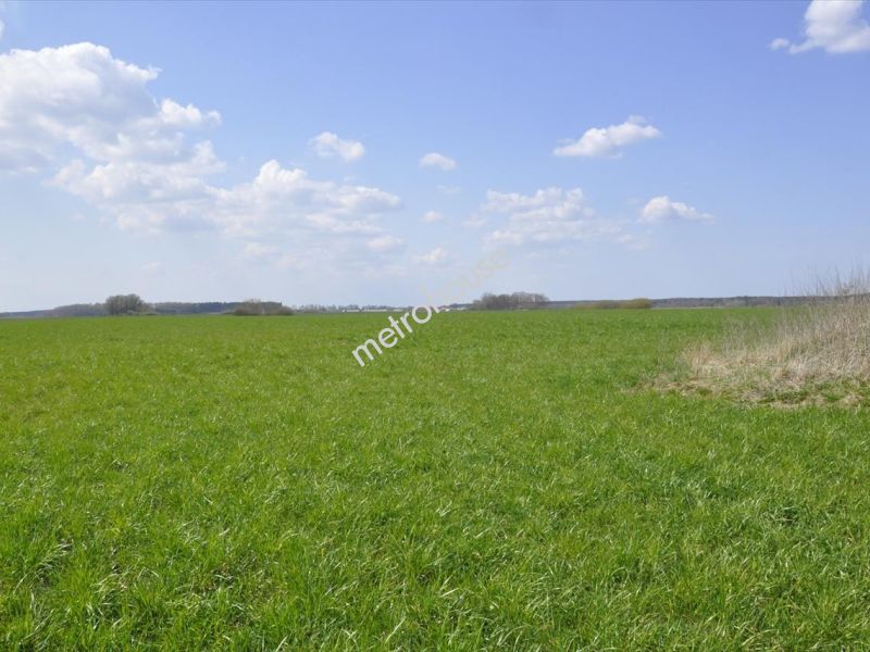 Działka na sprzedaż, Lidzbarski, Nowy Dwór