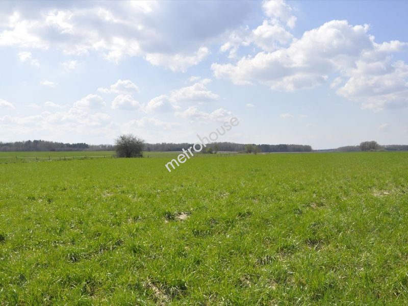 Działka na sprzedaż, Lidzbarski, Nowy Dwór