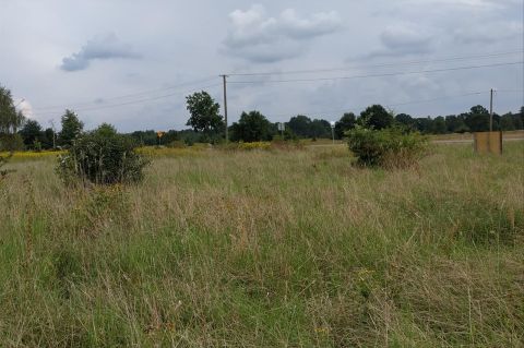 Sprzedaż Działka Grabnik, pow. warszawski zachodni