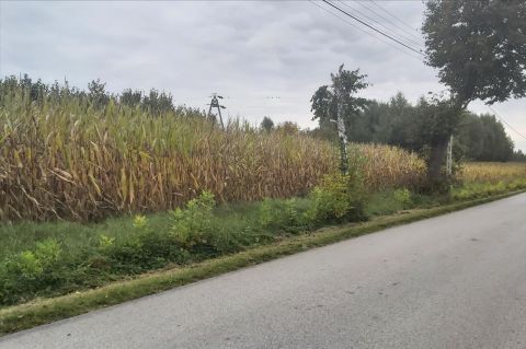 Sprzedaż Działka Sierakowice Prawe, pow. skierniewicki