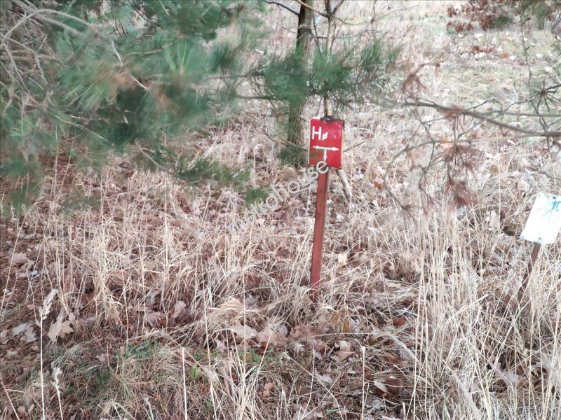Działka na sprzedaż, Piaseczyński, Ruda