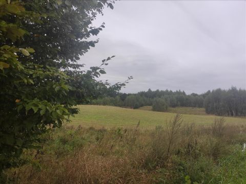 Sprzedaż Działka Michalin, pow. gdański