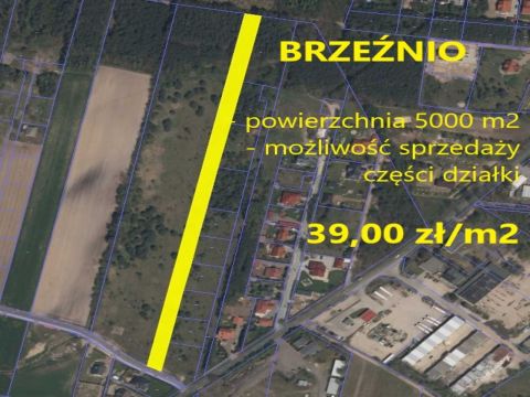 Sprzedaż Działka Brzeźnio, pow. sieradzki