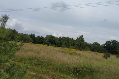 Sprzedaż Działka Wyględy, pow. warszawski zachodni