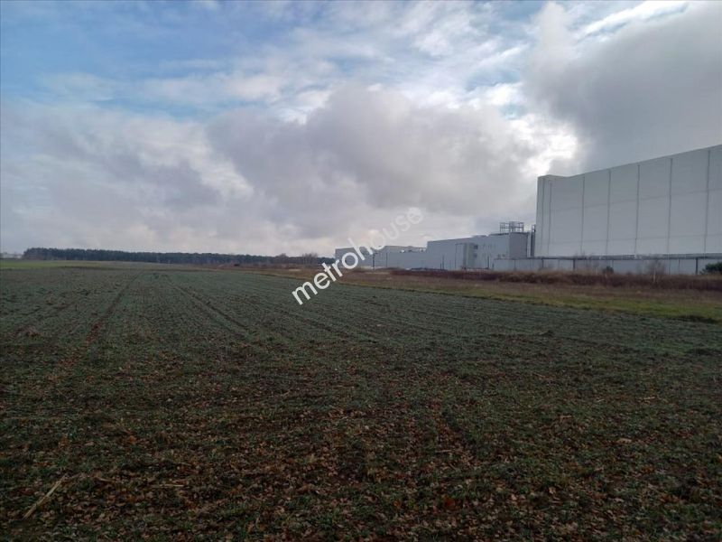 Działka na sprzedaż, Wołomiński, Małopole