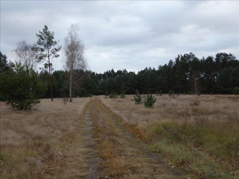 Sprzedaż Działka Gołaszew, pow. warszawski zachodni