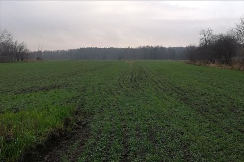 Sprzedaż Działka null