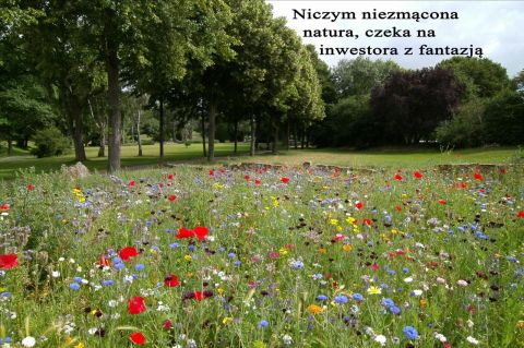 Sprzedaż Działka Sarbsk, pow. lęborski