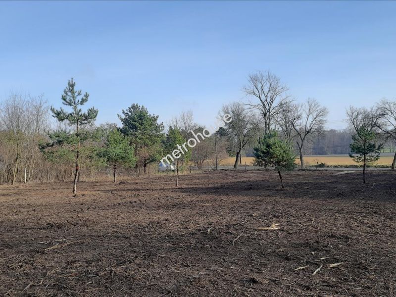 Działka na sprzedaż, łódzki Wschodni, Byszewy