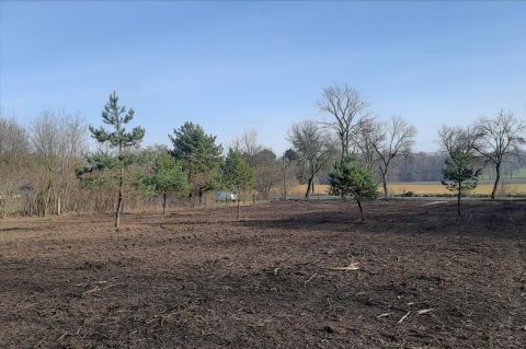 Sprzedaż Działka Byszewy, pow. łódzki wschodni