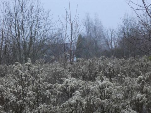 Sprzedaż Działka Pieńków, pow. nowodworski