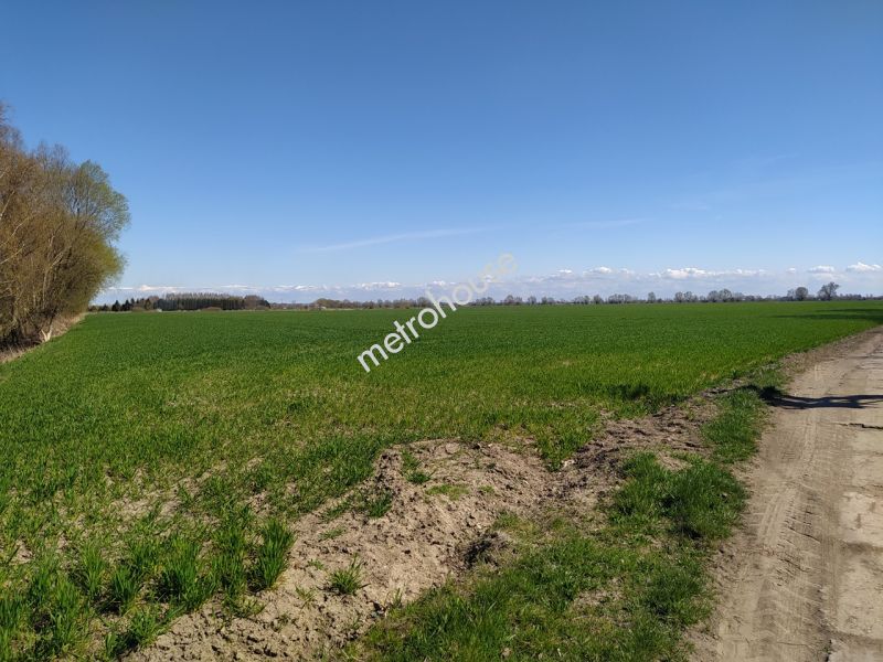 Działka na sprzedaż, Nowodworski, Stegna