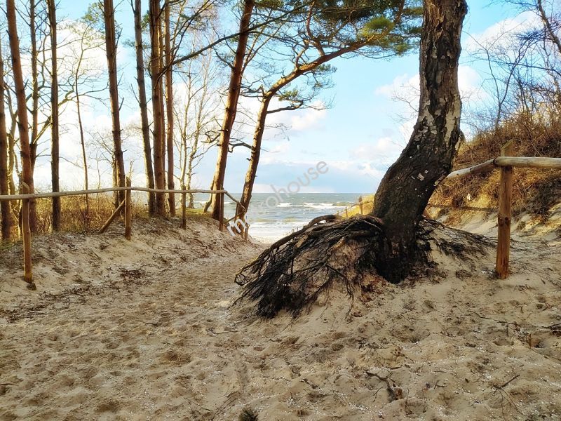 Działka na sprzedaż, Nowodworski, Stegna