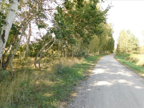Sprzedaż Działka Grabowiec, pow. toruński
