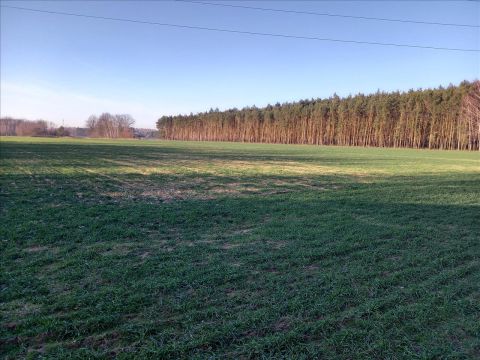 Sprzedaż Działka Nowy Kozłów Pierwszy, pow. sochaczewski