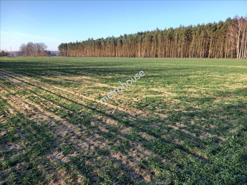 Działka na sprzedaż, Sochaczewski, Nowy Kozłów Pierwszy