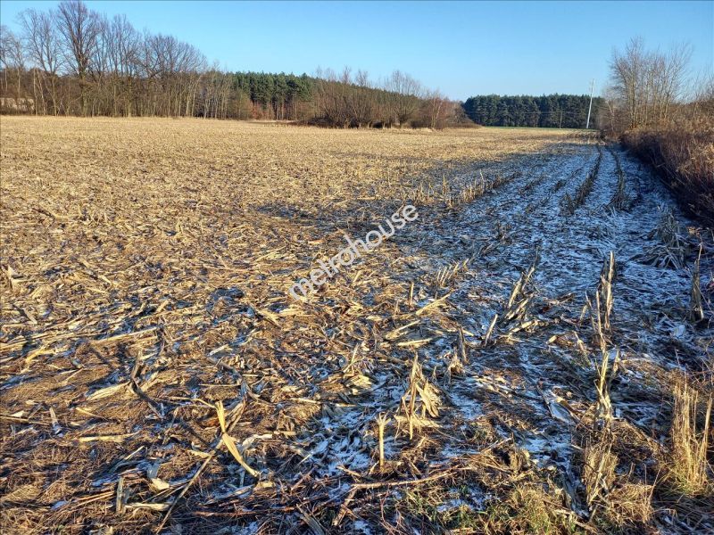 Działka na sprzedaż, Sochaczewski, Nowy Kozłów Pierwszy