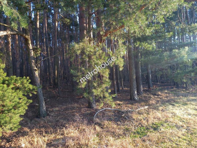 Działka na sprzedaż, Sochaczewski, Nowy Kozłów Pierwszy