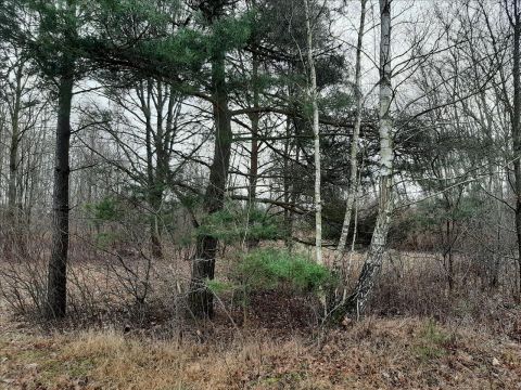 Sprzedaż Działka Sokule, pow. żyrardowski