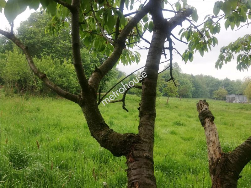 Działka na sprzedaż, Jeleniogórski, Kopaniec