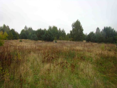 Sprzedaż Działka Kawęczyn, pow. piaseczyński