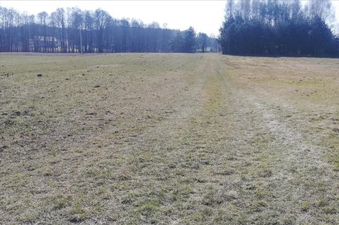 Sprzedaż Działka Podkonice Małe, pow. tomaszowski
