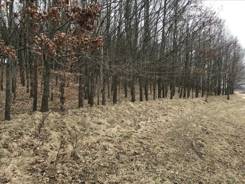 Sprzedaż Działka null