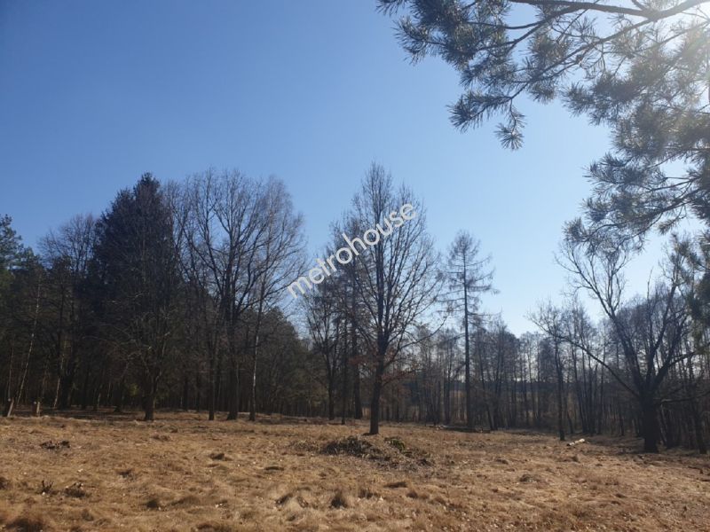 Działka na sprzedaż, Siedlecki, Młynki