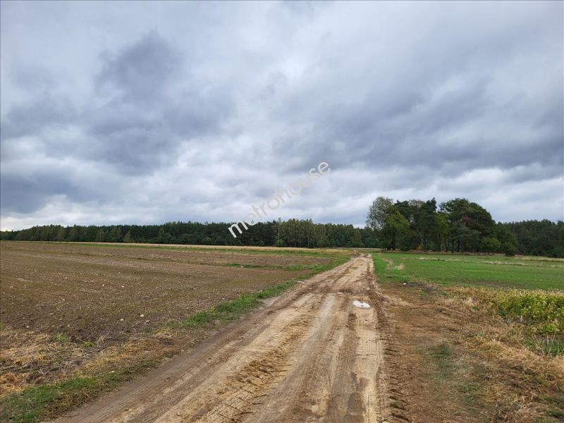 Działka na sprzedaż, Siedlecki, Młynki