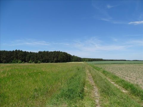 Sprzedaż Działka Kotla, pow. głogowski