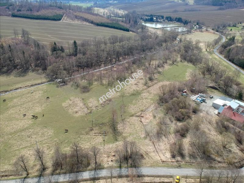 Działka na sprzedaż, Kłodzki, Skrzynka