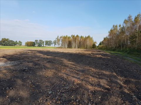 Sprzedaż Działka Zator, pow. żyrardowski