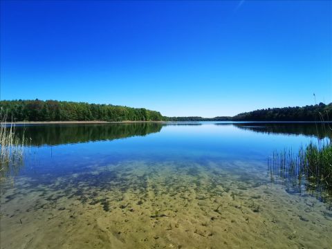 Sprzedaż Działka Nowa Wieś Ostródzka, pow. olsztyński
