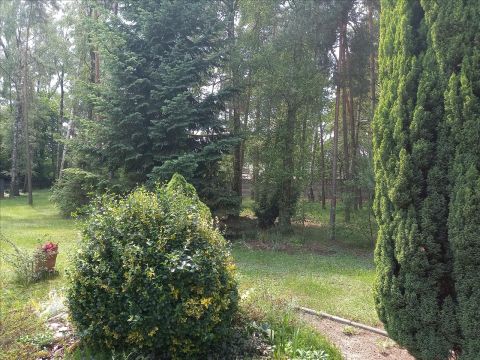Sprzedaż Działka Rąbień AB, pow. zgierski