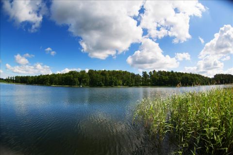 Sprzedaż Działka Guty, pow. giżycki