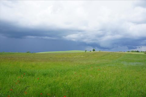 Sprzedaż Działka Szczybały Orłowskie, pow. giżycki