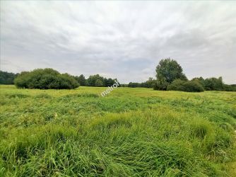 Działka na sprzedaż, Oleśnicki, Malerzów