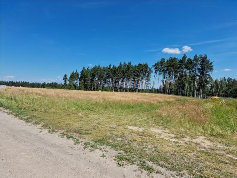 Sprzedaż Działka Radoszki, pow. brodnicki