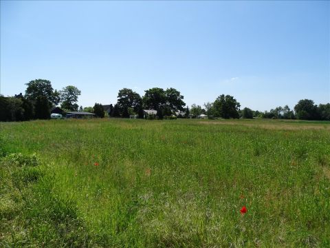 Sprzedaż Działka Kotla, pow. głogowski