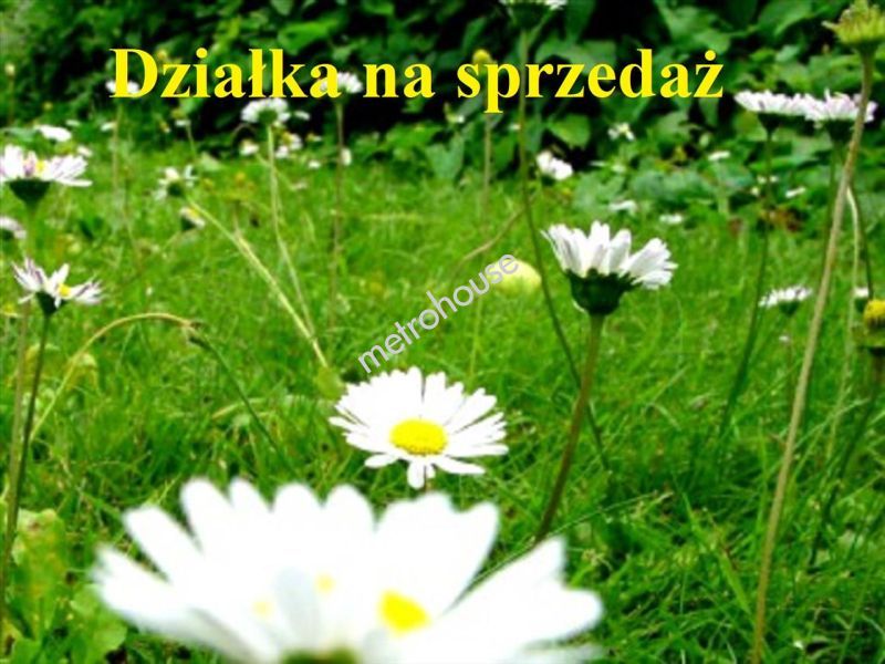 Działka na sprzedaż, Siedlce