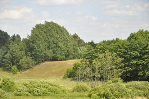 Sprzedaż Działka Stryjkowo, pow. lidzbarski