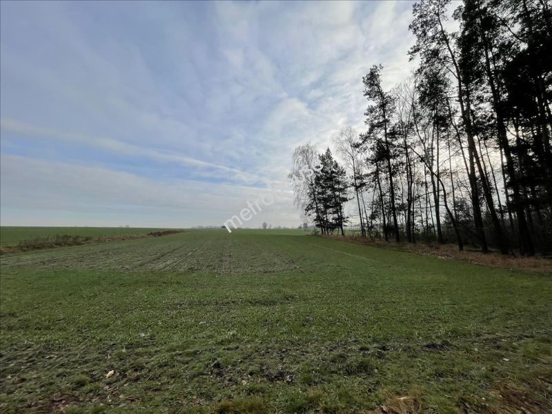 Działka na sprzedaż, Nowodworski, Jaskółowo