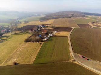 Działka na sprzedaż, Kłodzki, Suszyna